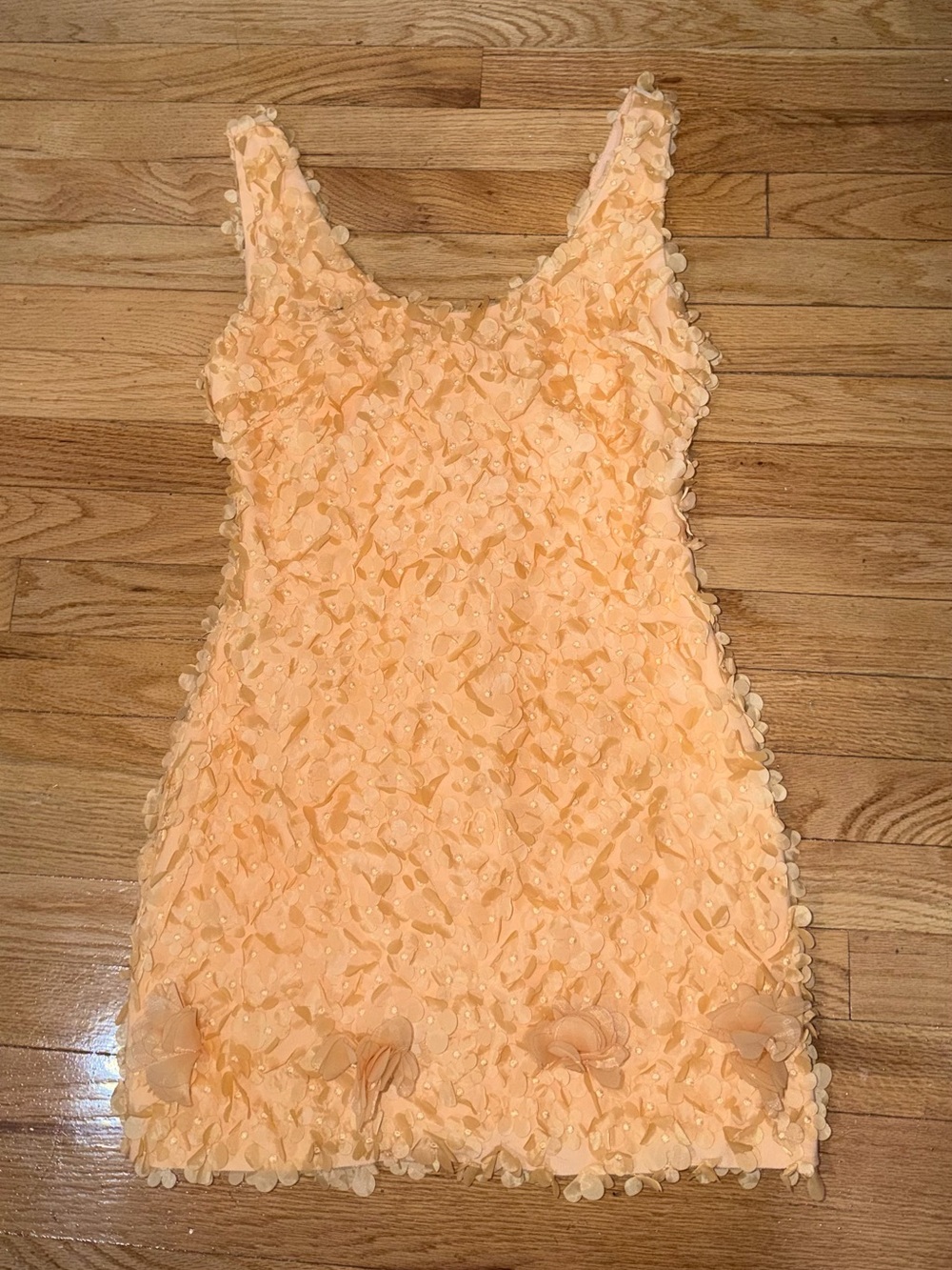 Finesse Peach Floral Appliqué Sleeveless Chemise